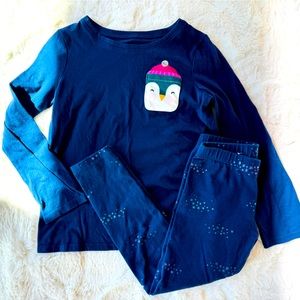 Fall/Winter Matching Penguin Set